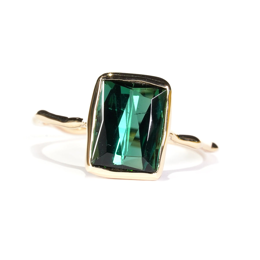 Charm Ring No.1385/ Tourmaline