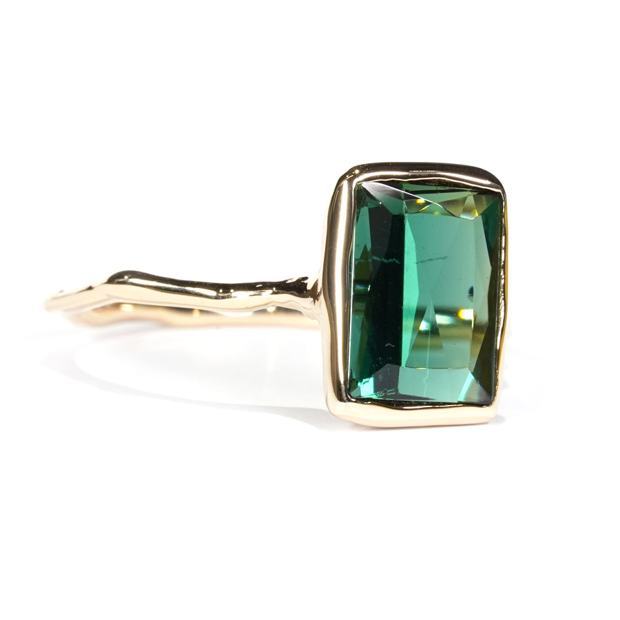 Charm Ring No.1385/ Tourmaline