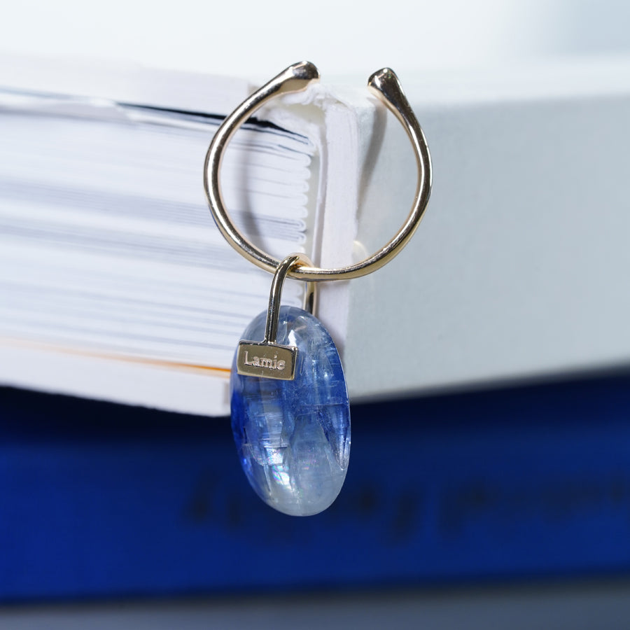 Bag Top №3078/ Kyanite