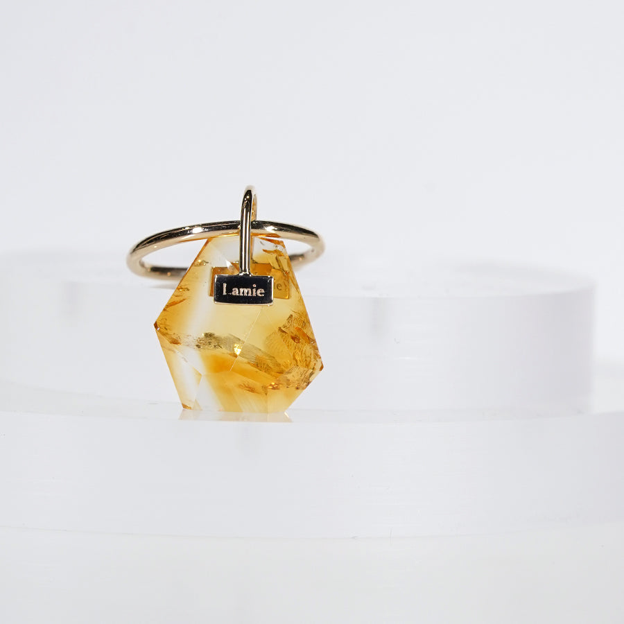 Bag Top №3084/Citrine