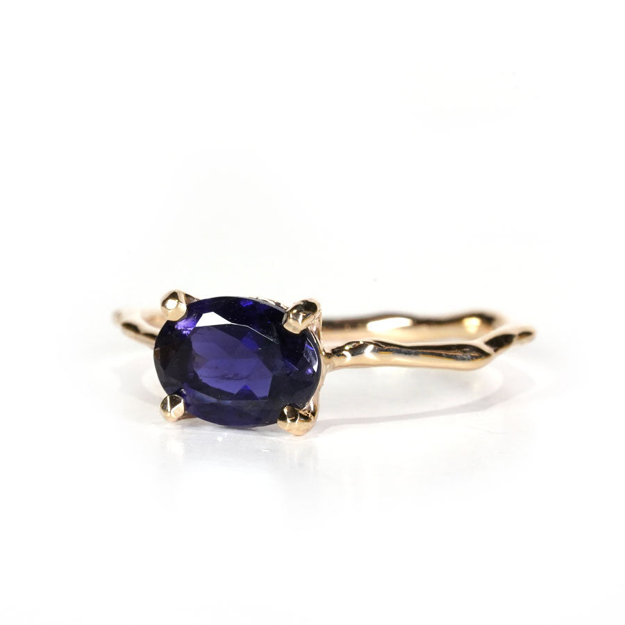 Charm Ring No.957/Iolite