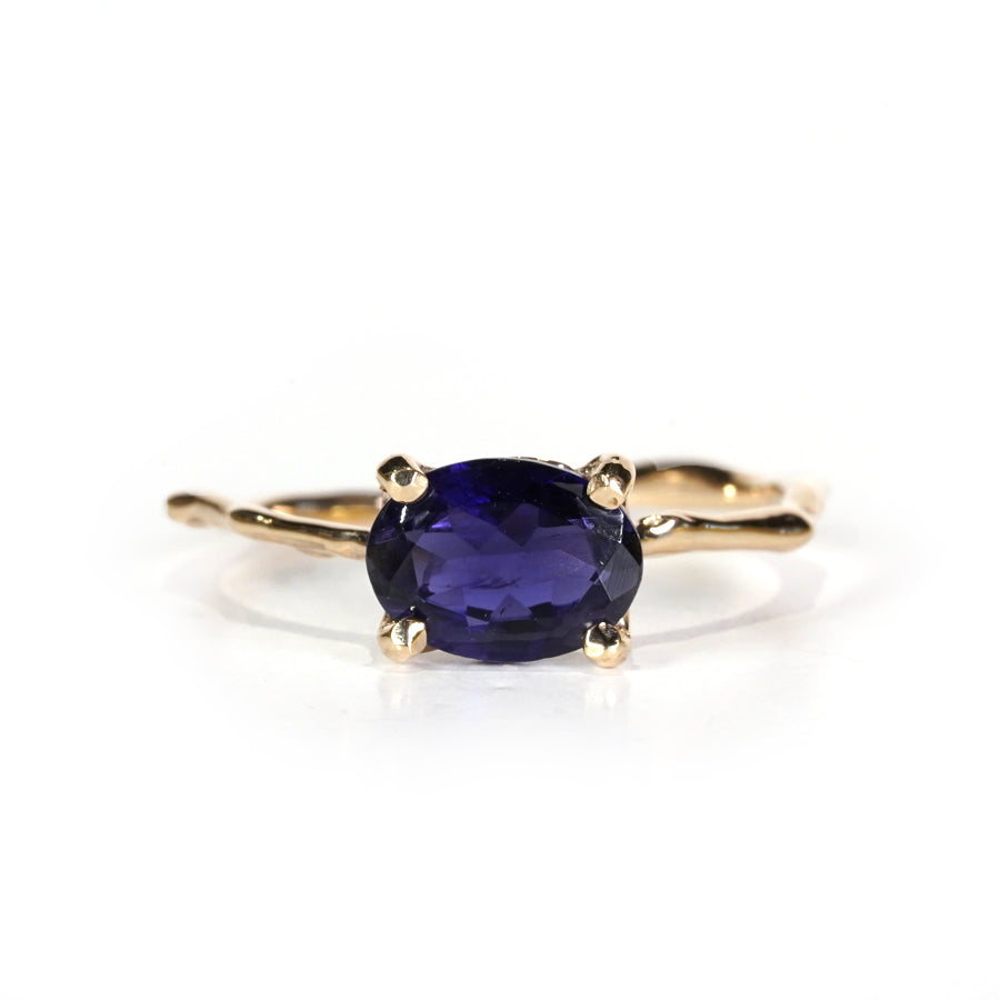 Charm Ring No.957/Iolite