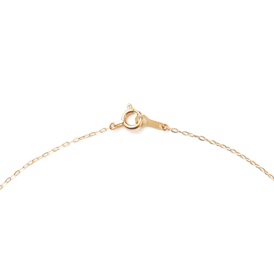 Path Necklace Dia