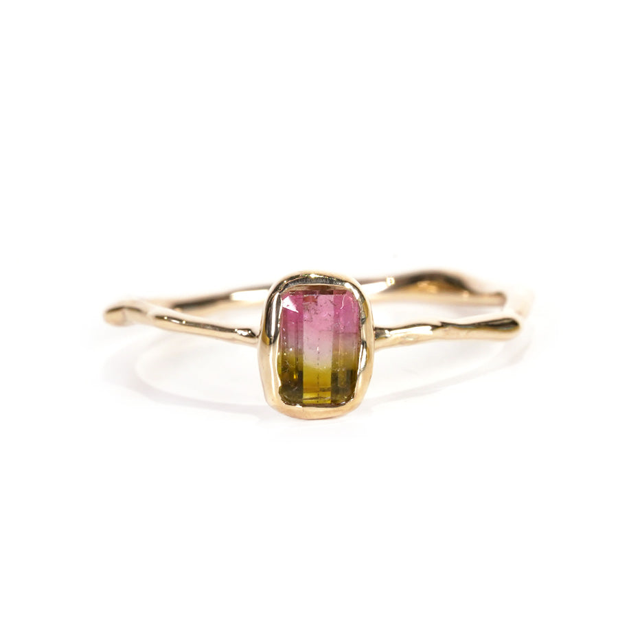 Charm Ring No.1148/ Tourmaline