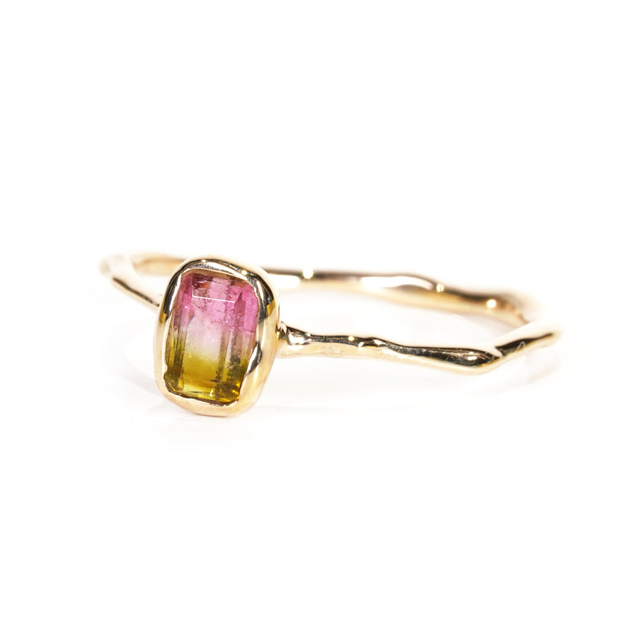 Charm Ring No.1148/ Tourmaline