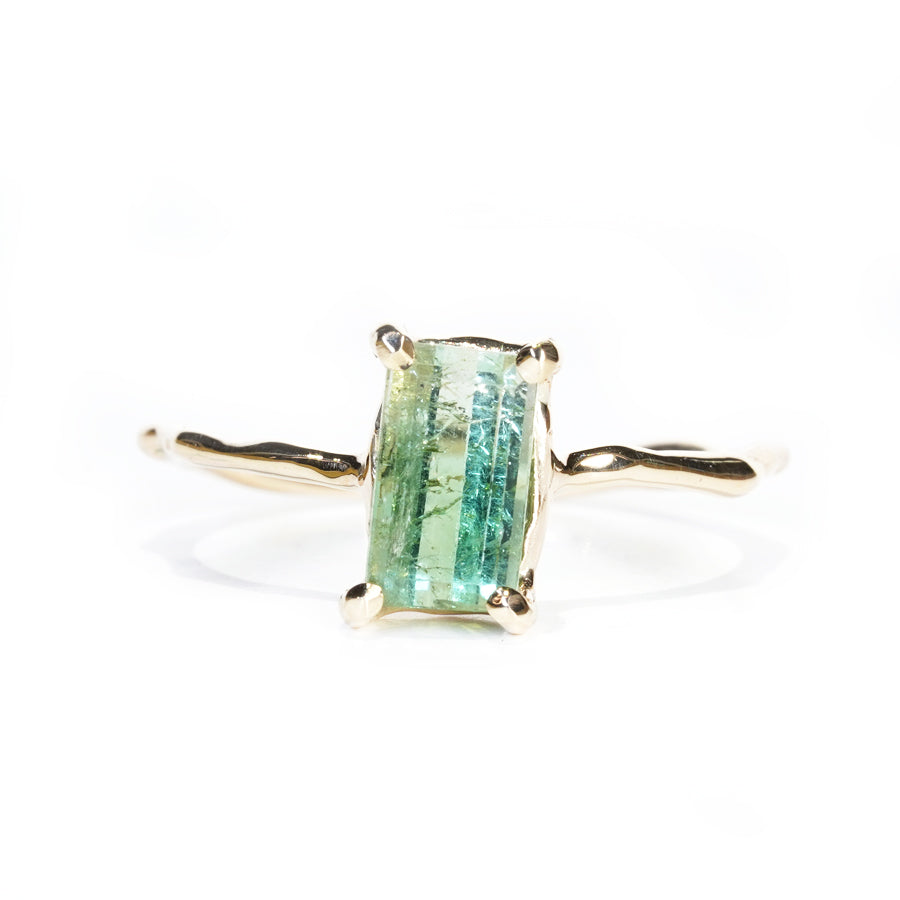 Charm Ring No.1170/ Tourmaline