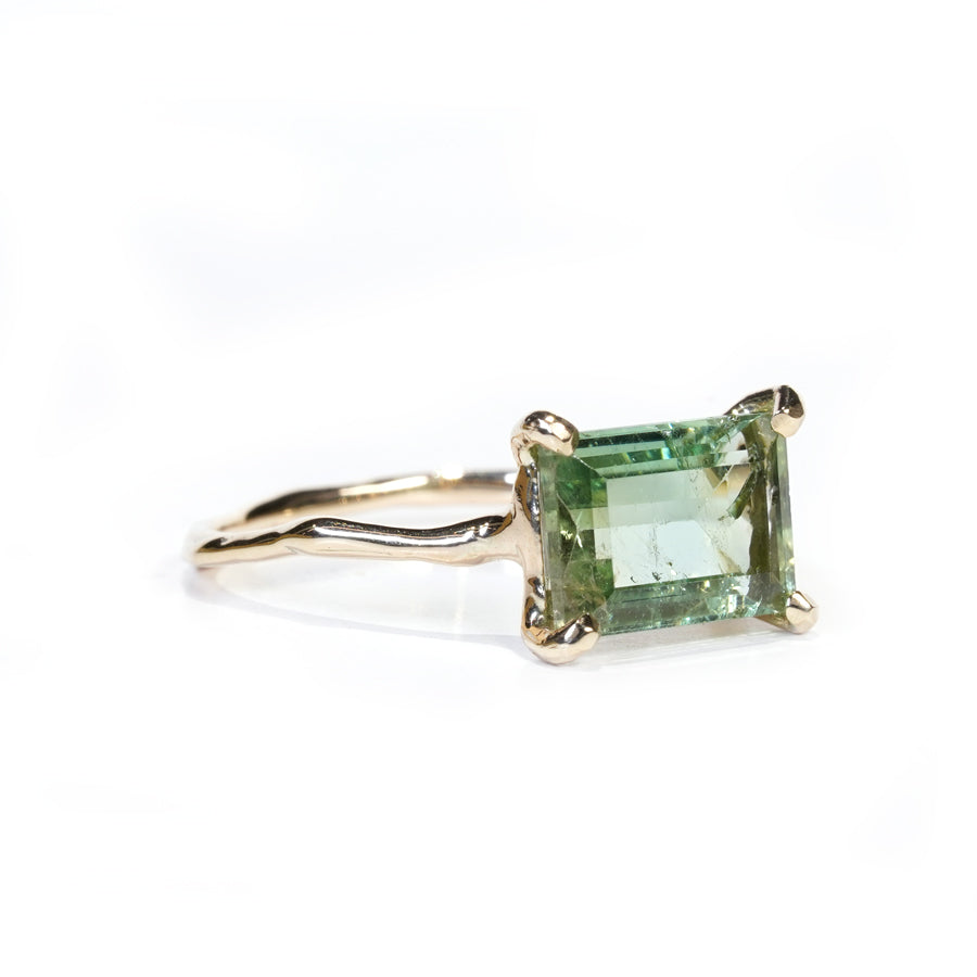 Charm Ring No.1172/ Tourmaline