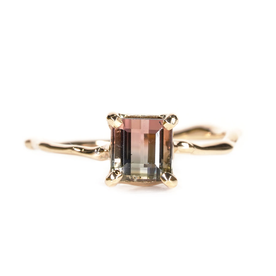 Charm Ring No.1216 / Tourmaline