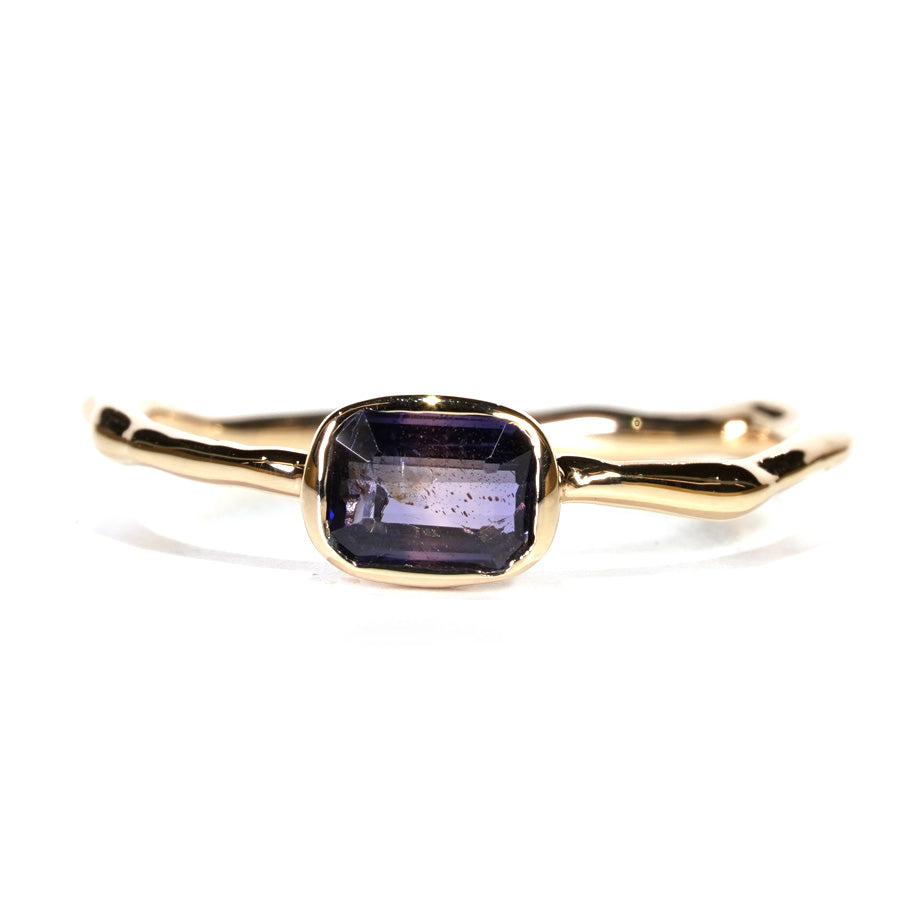 Charm Ring No.1234/ Windsor Sapphire