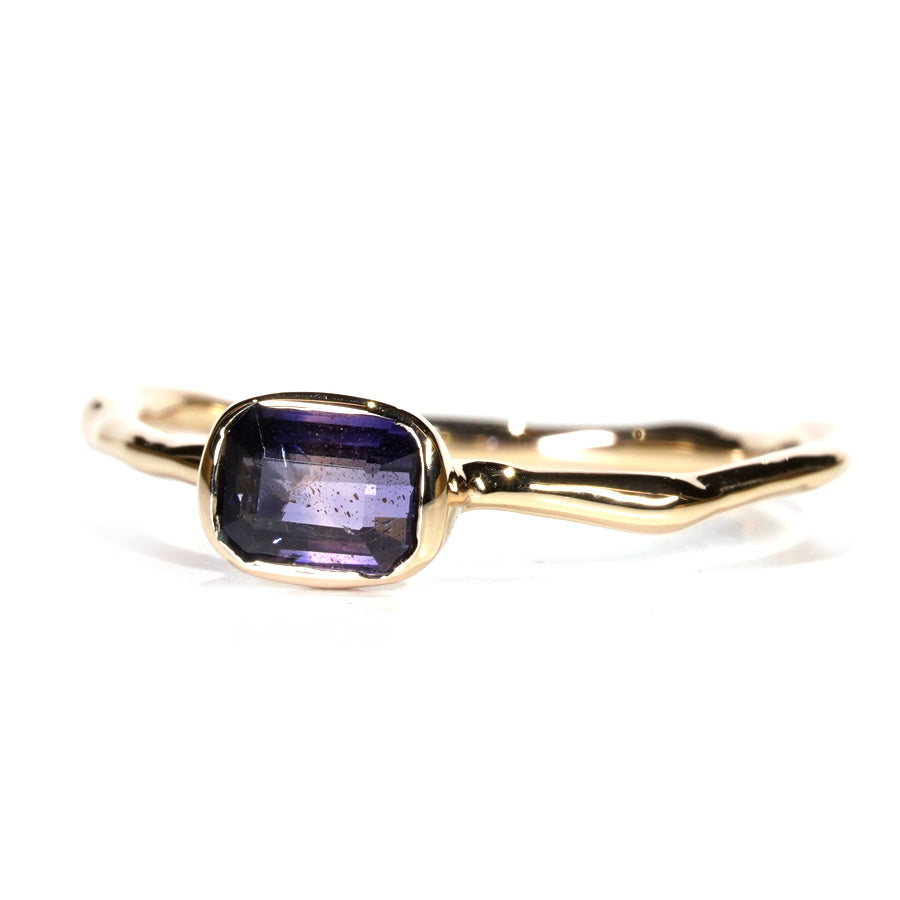 Charm Ring No.1234/ Windsor Sapphire