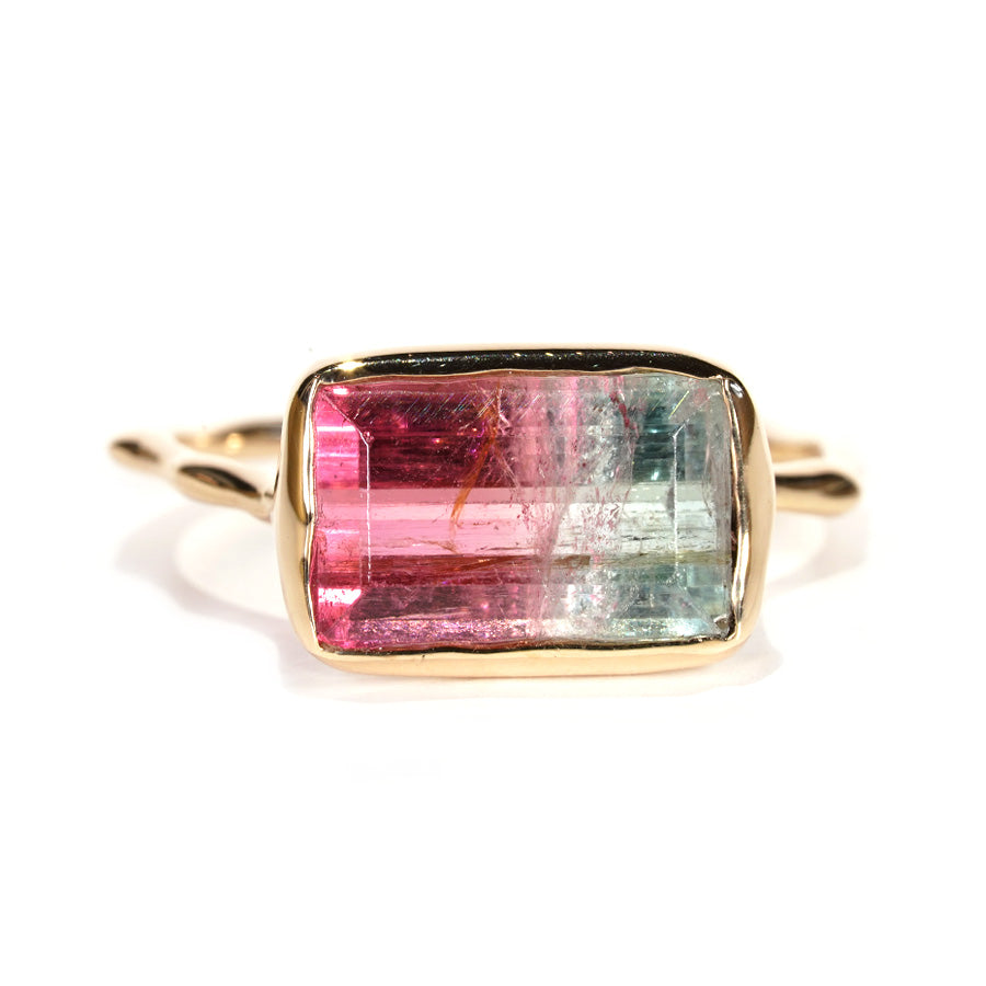 Charm Ring No.1257/ Tourmaline