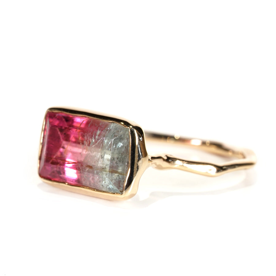 Charm Ring No.1257/ Tourmaline