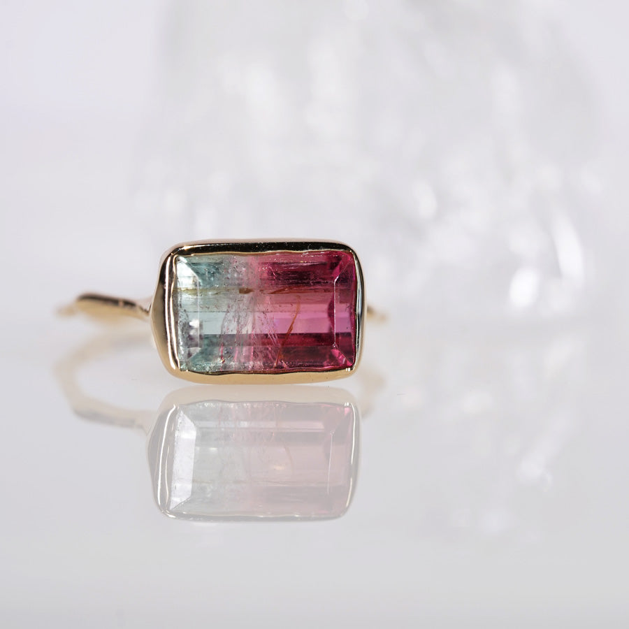 Charm Ring No.1257/ Tourmaline