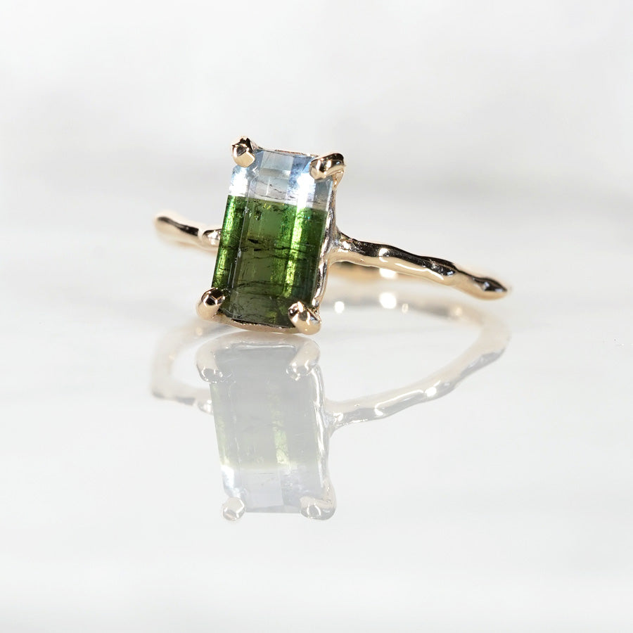 Charm Ring No.1473/ Tourmaline