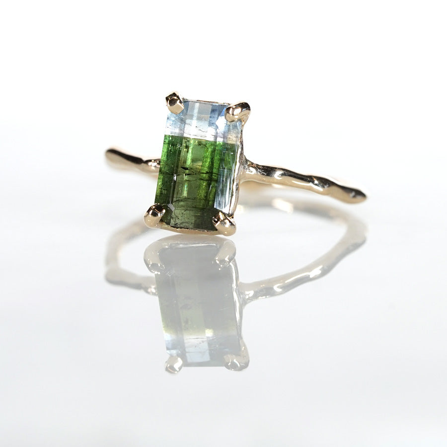Charm Ring No.1473/ Tourmaline