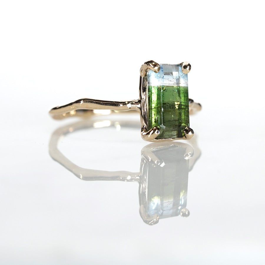 Charm Ring No.1473/ Tourmaline