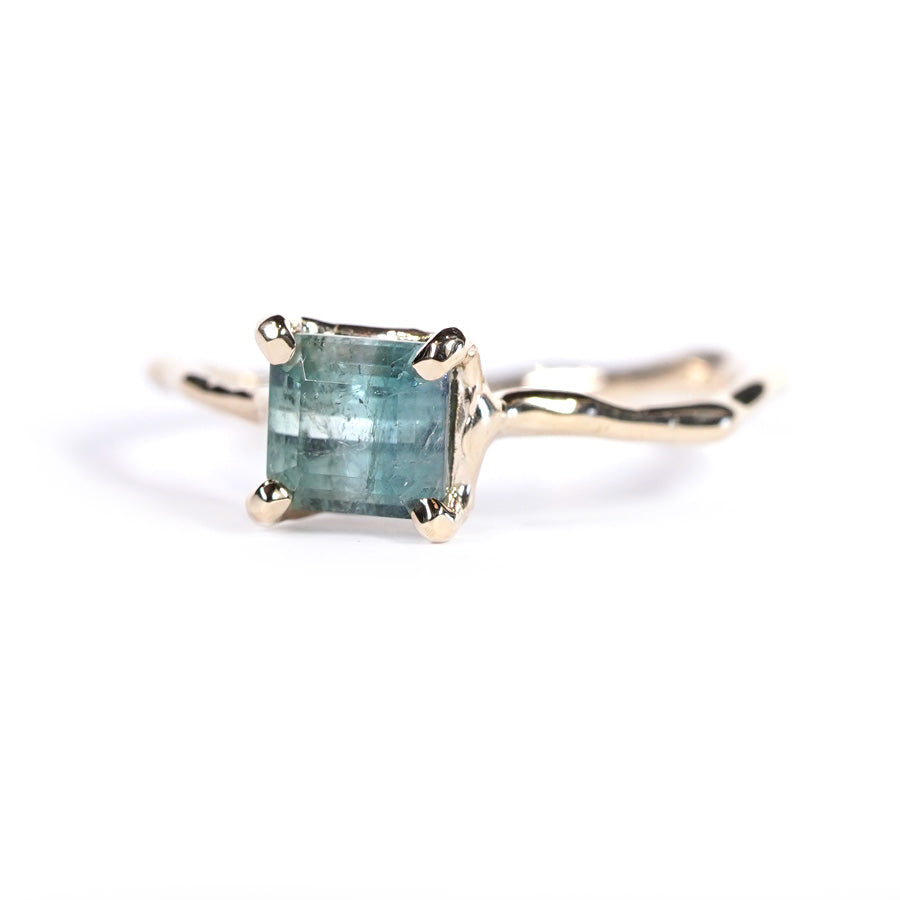Charm Ring No.1486/ Tourmaline