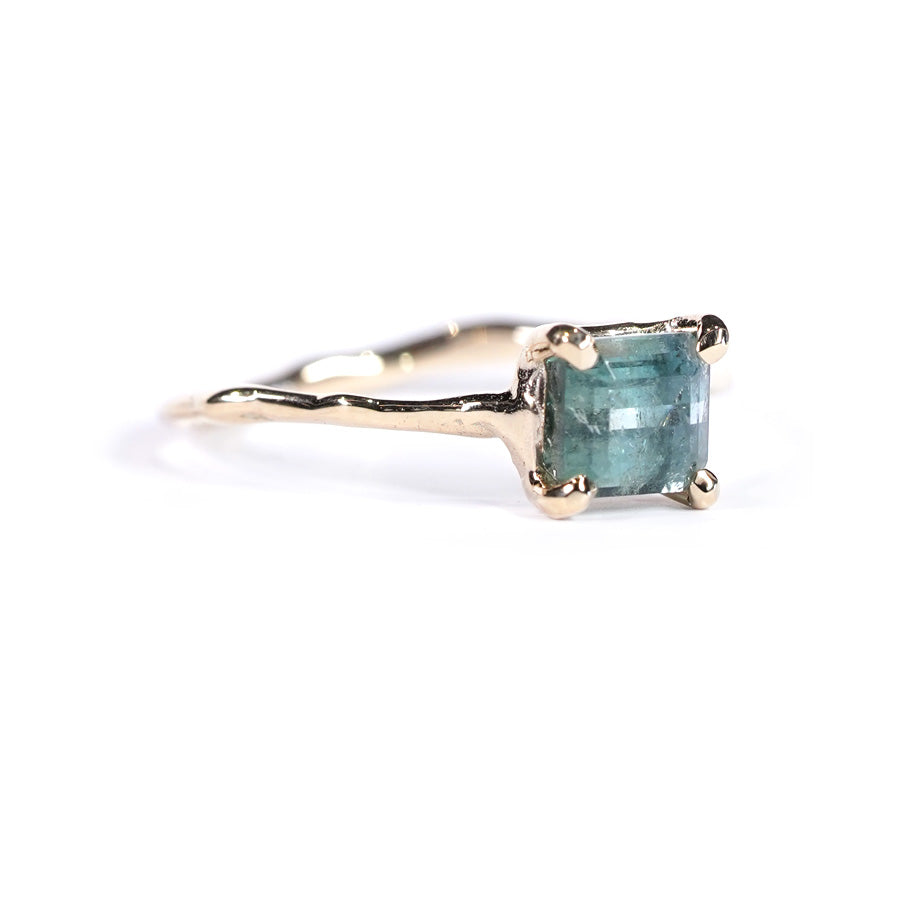 Charm Ring No.1486/ Tourmaline