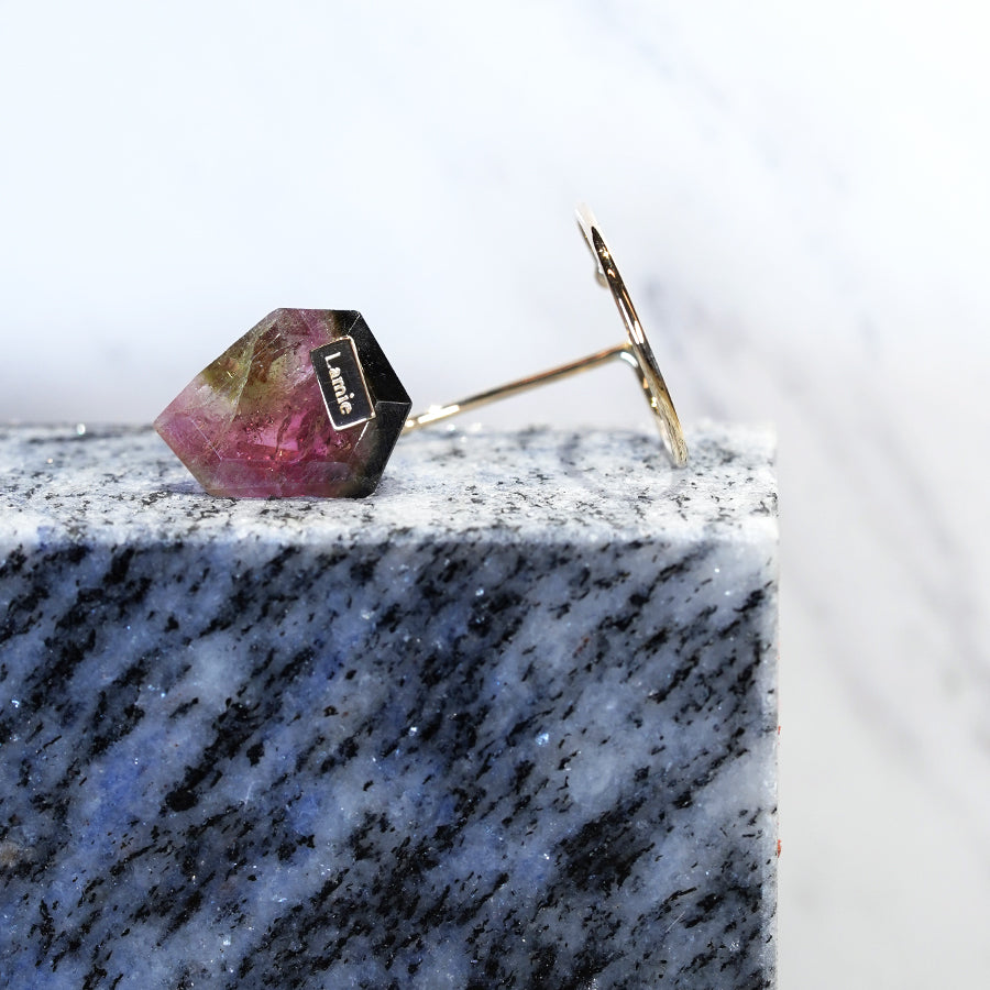 Bag イヤカフ  №4330/ Tourmaline