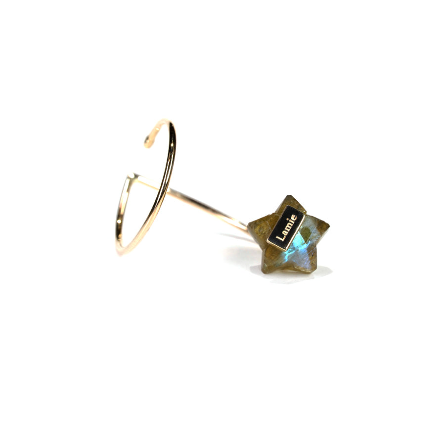 Bag Earrings No. 2033/ Tourmaline